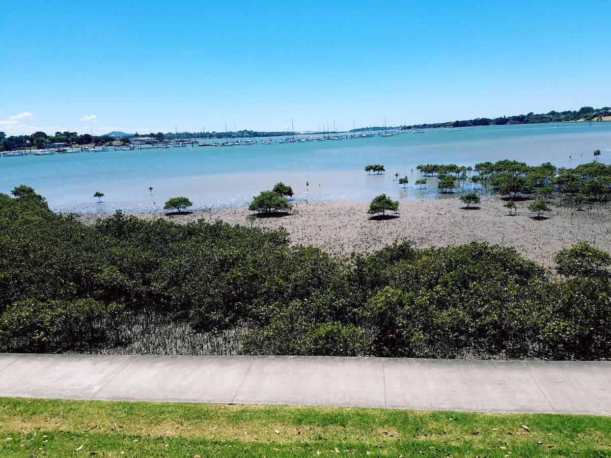 New Smart Home Nearby Plaza Auckland Buitenkant foto